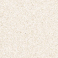 Passion 21610 Nouwens Bogaers Tapijt 